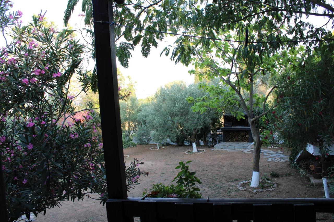 Anastasia Nea Nea Makri Esterno foto