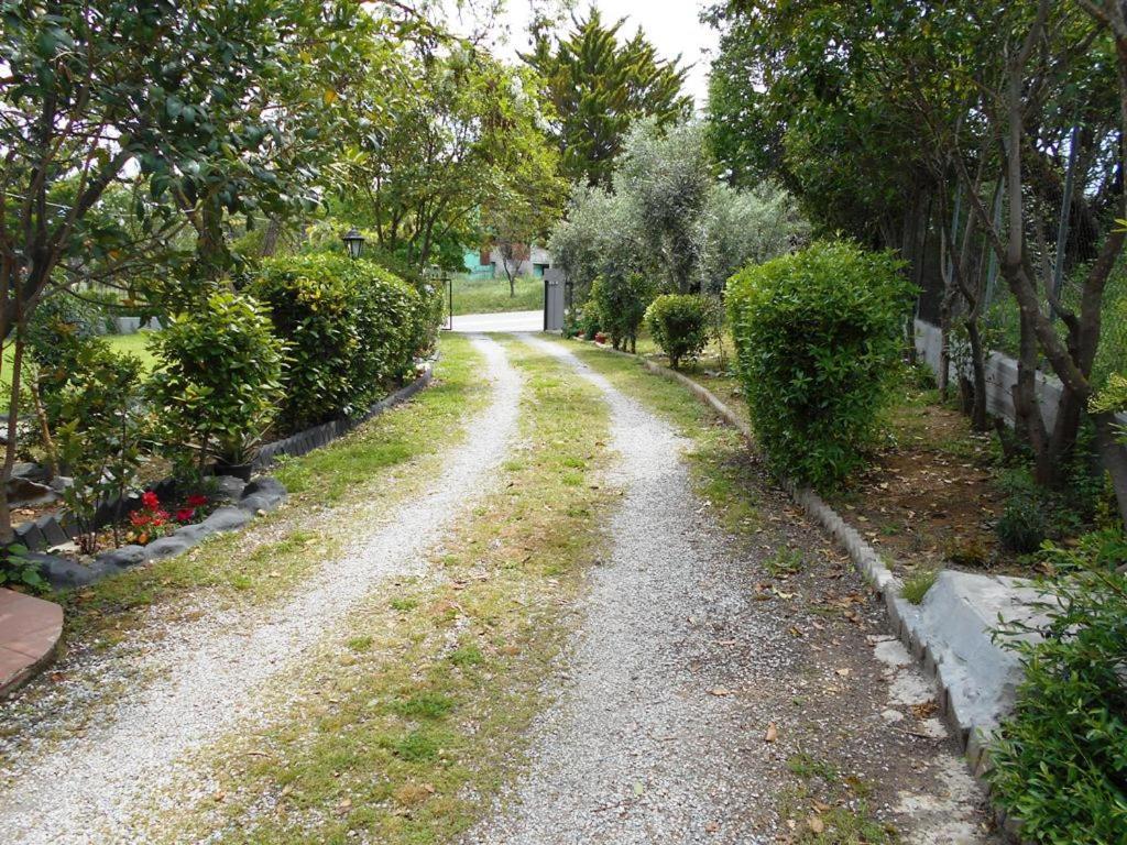 Anastasia Nea Nea Makri Esterno foto