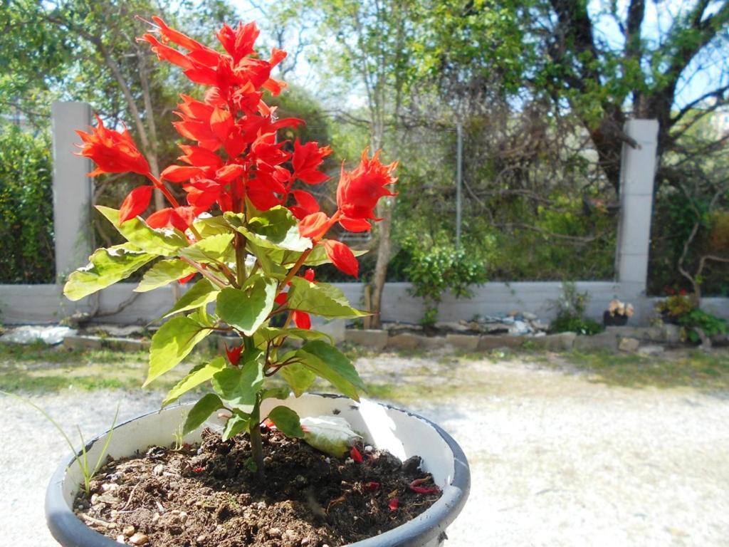 Anastasia Nea Nea Makri Esterno foto