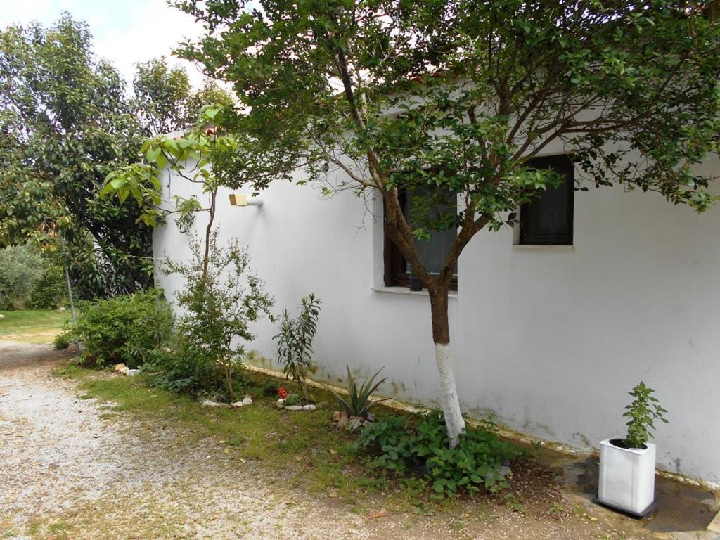 Anastasia Nea Nea Makri Esterno foto