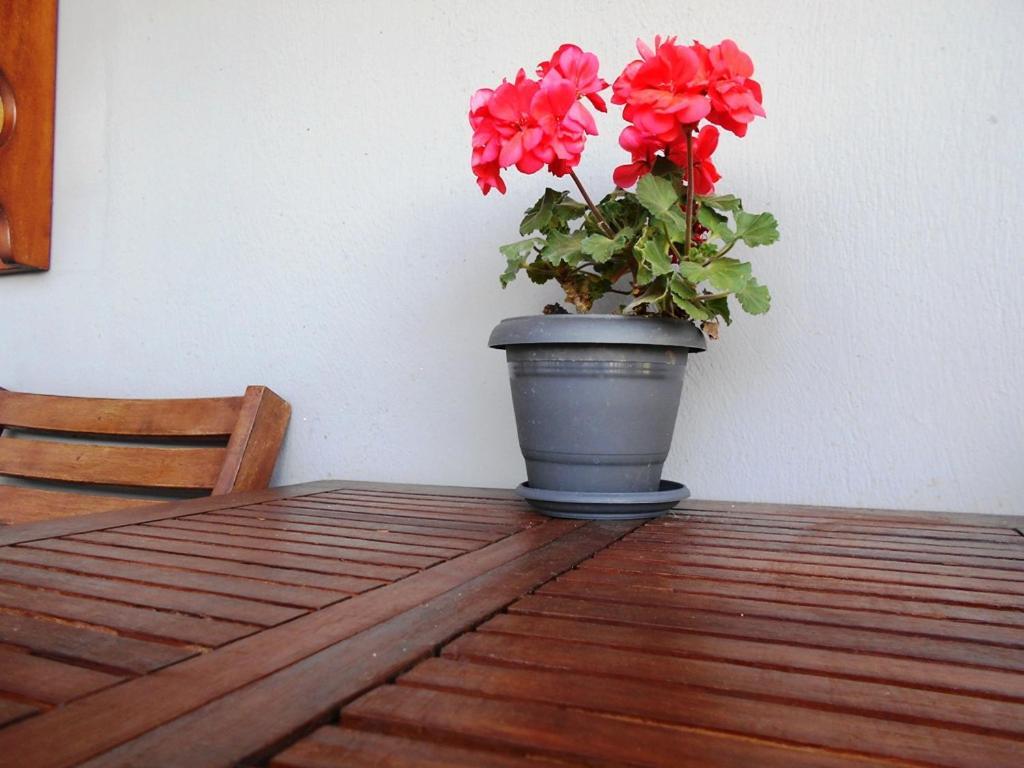 Anastasia Nea Nea Makri Esterno foto