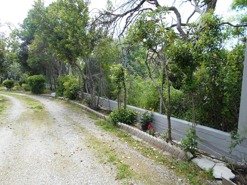 Anastasia Nea Nea Makri Esterno foto