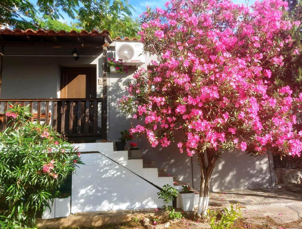 Anastasia Nea Nea Makri Esterno foto
